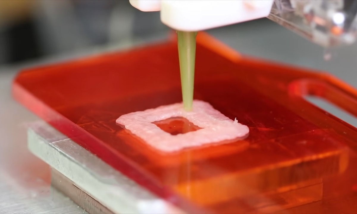 Megérkezett a sült húst nyomtató 3D nyomtató!