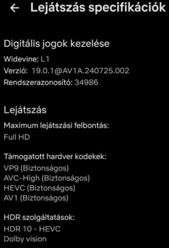 realme GT 7 Pro Netflix