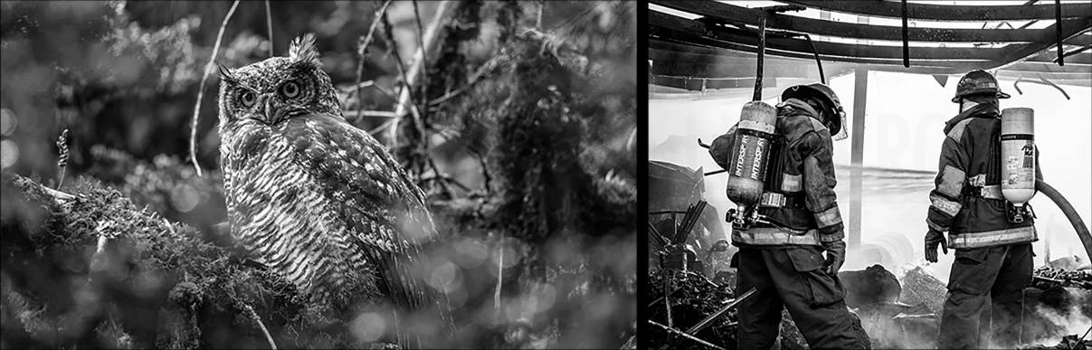 Blackview XPLORE 2 kamerák