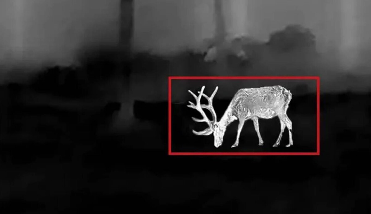 InfiRay NV2 érzékelés