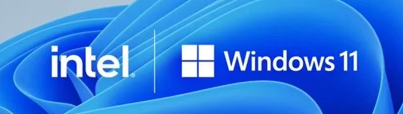 Ninkear N10 WIndows 11