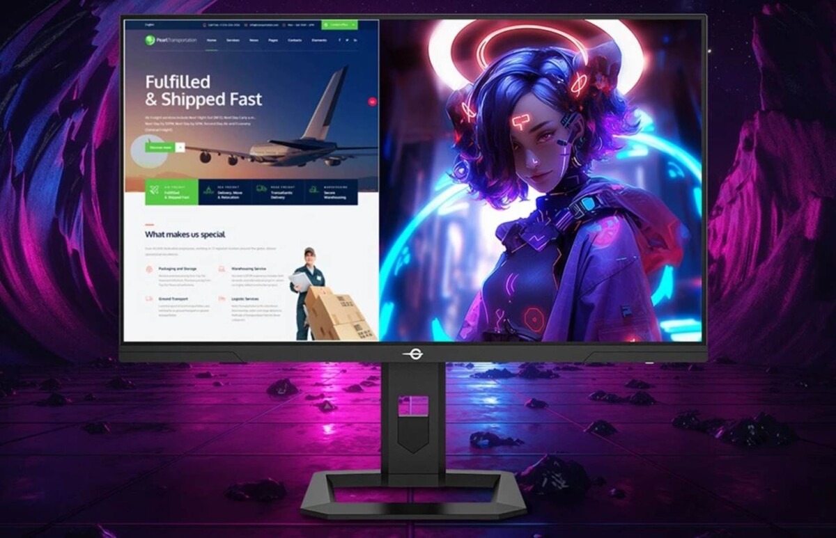 TITAN ARMY P275MV PLUS PIP