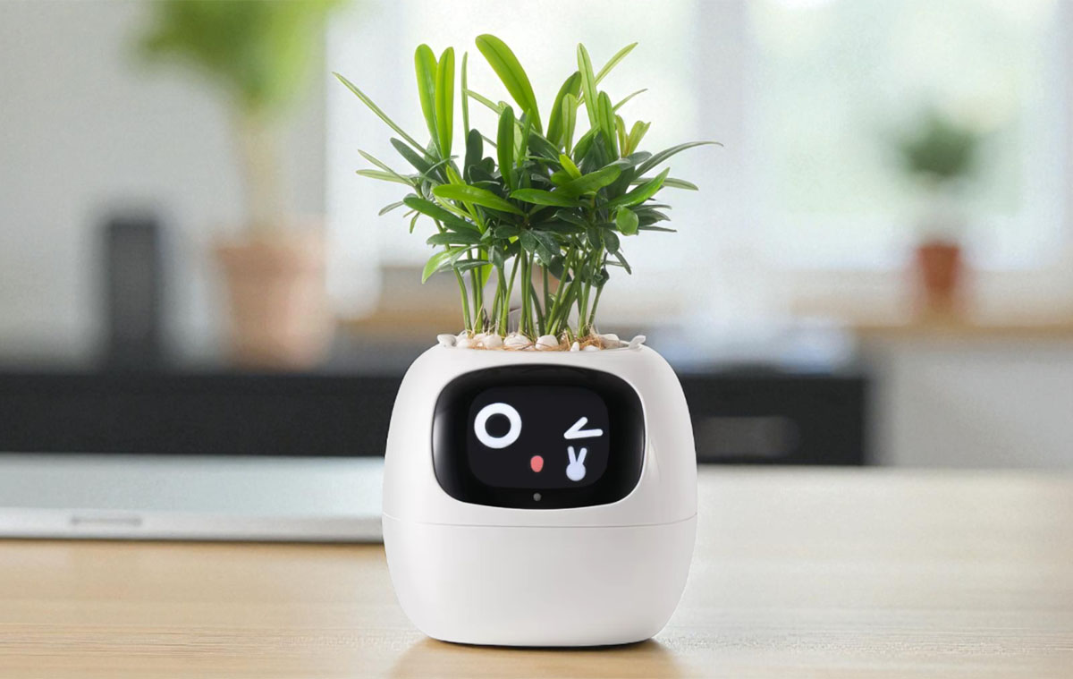 Ez zseniális: okos cserép a növényeknek, kijelzővel