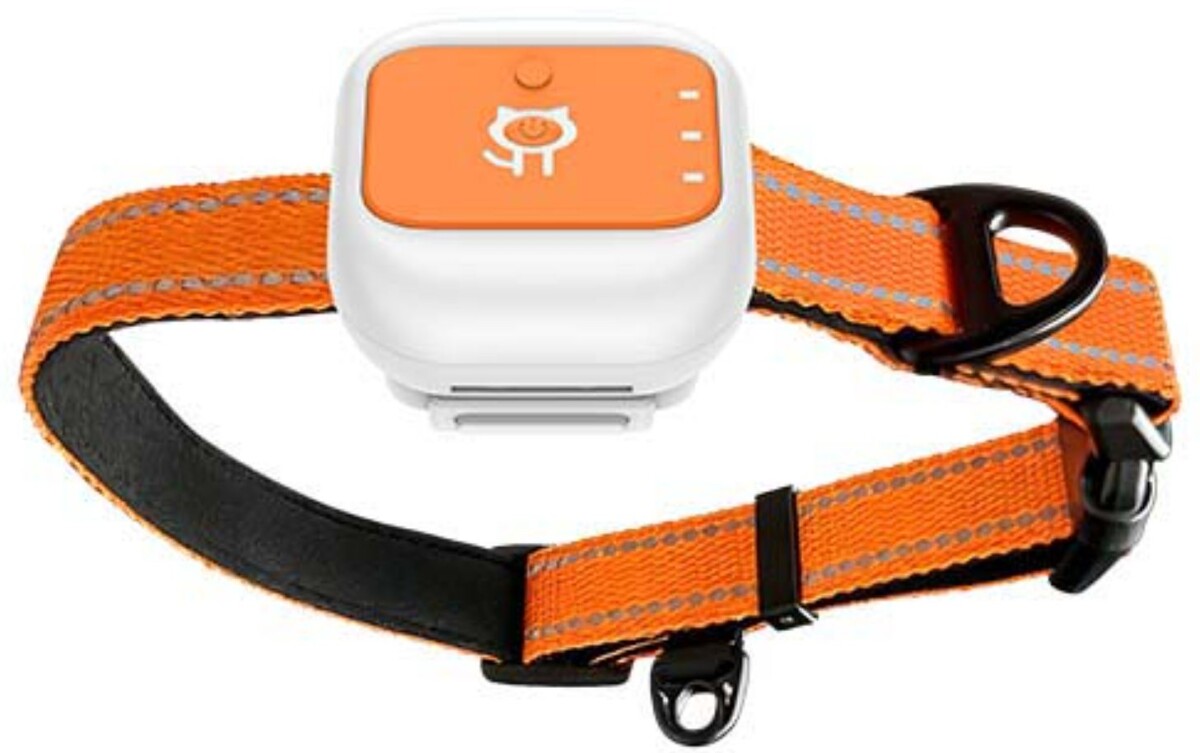 Kutya, macska nyomkövető