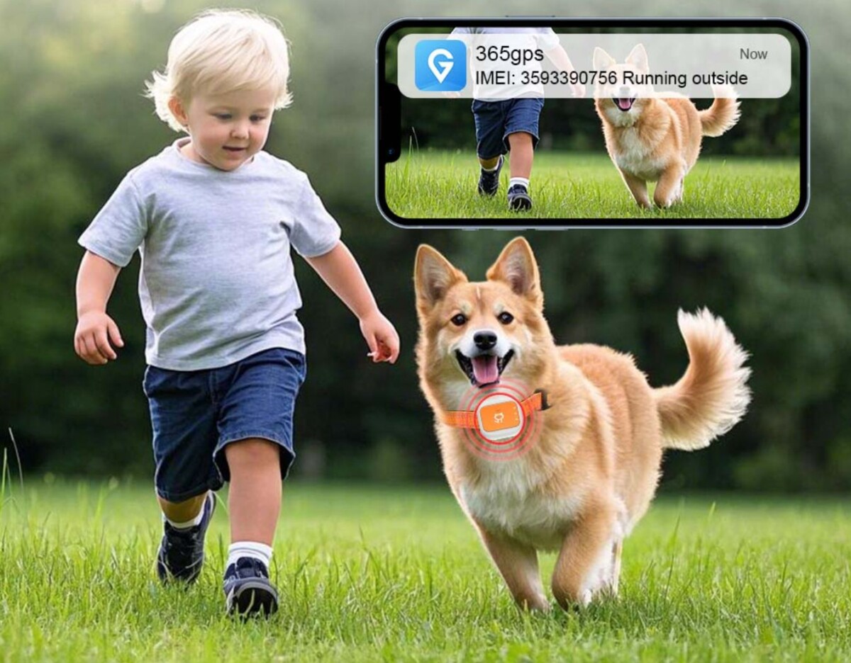 Kutya, macska nyomkövető geo kerítés