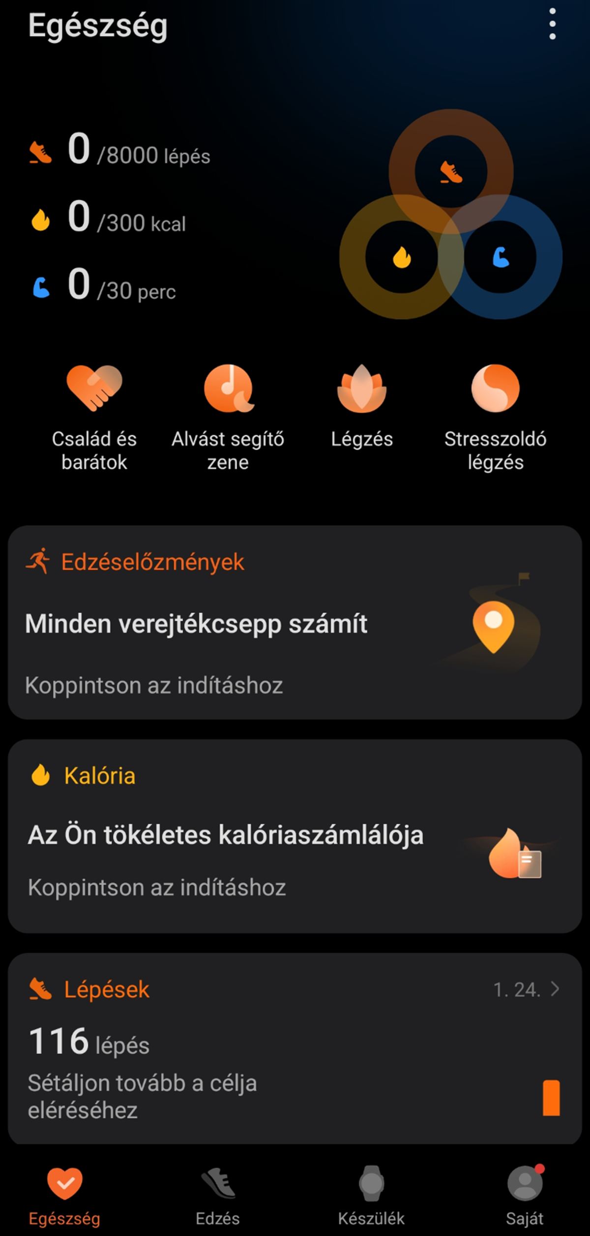 HONOR CHOICE INFOWEAR Watch 2i okosóra app