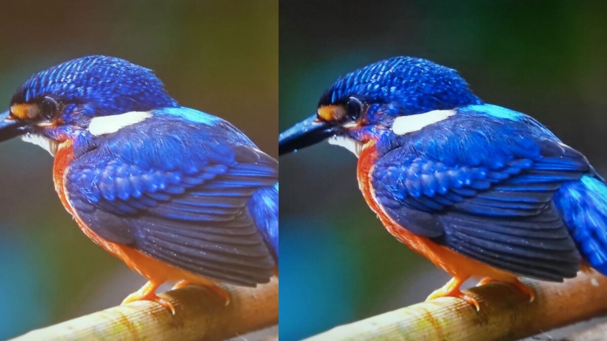 BlitzWolf BW-V5 Air projektor - Fényben vs. sötétben #1