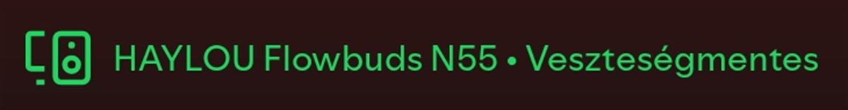 HAYLOU Flowbuds N55 vezetéknélküli fülhallgató lossless