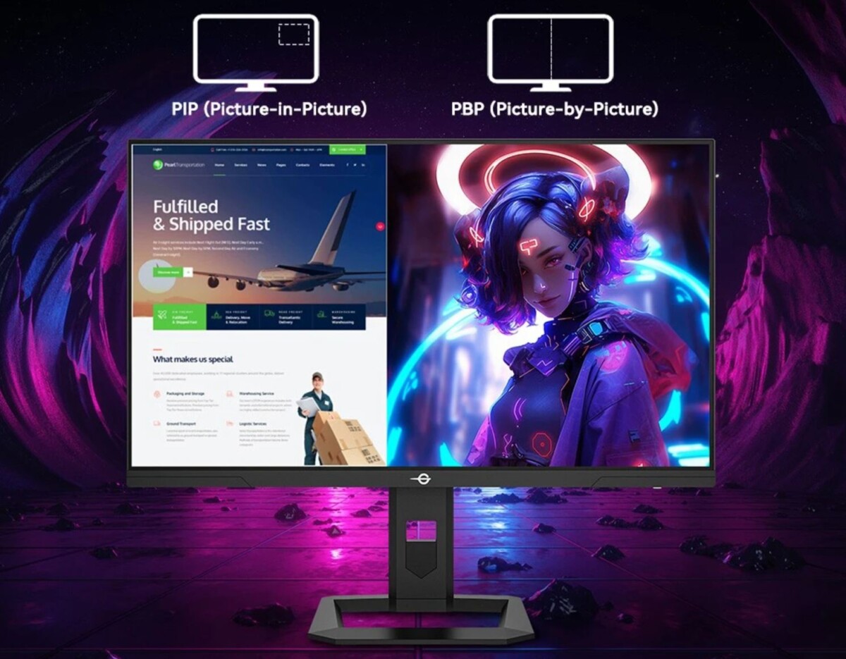 TITAN ARMY P275MV PLUS PIP