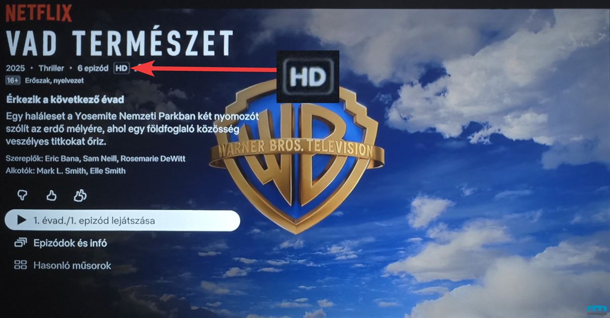 Wanbo ToGo Pro Full HD streaming