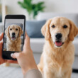 Egy fotó is elég lehet? A Samsung AI-ja már a háziállatok egészségét is figyelné