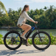 DUOTTS C29-L e-bike