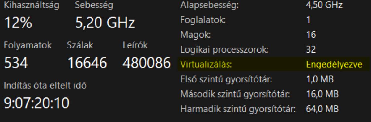 A feladatkezelő mutatja, hogy a virtualizálás be van kapcsolva
