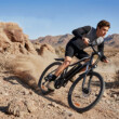 iScooter Electric Bike EB3S e-bike