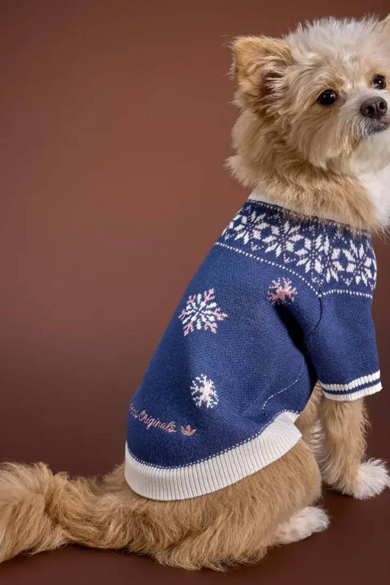 adidas Pet Ski Sweater