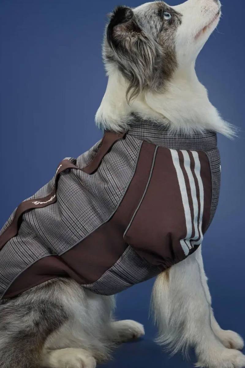 adidas Pet Ski Sweater