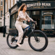 DUOTTS C29 Pro e-bike